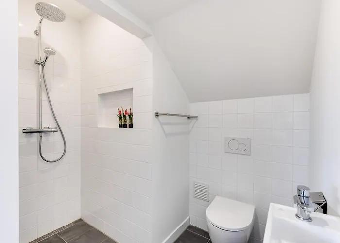 Vernieuwd Zeezicht Duin Bergen aan Zee