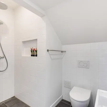 Vernieuwd Zeezicht Duin بيرشن أن زي